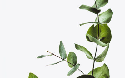 Budget-friendly Funeral Ideas
